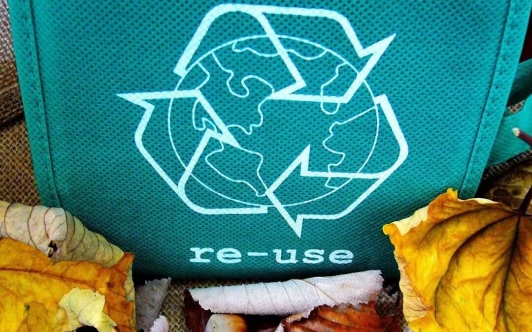 Waste & Recycling Ideas for Homes & Businesses