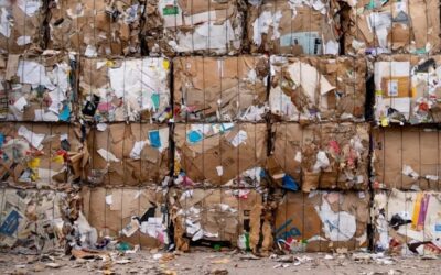 What Is Single-Stream Recycling?